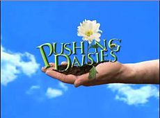Pushing Dasies