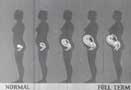human reproduction