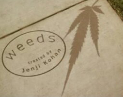 weeds