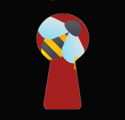 beetv1