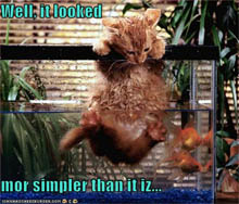 catfish