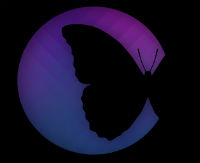 chrysalis
