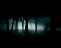 dark 
