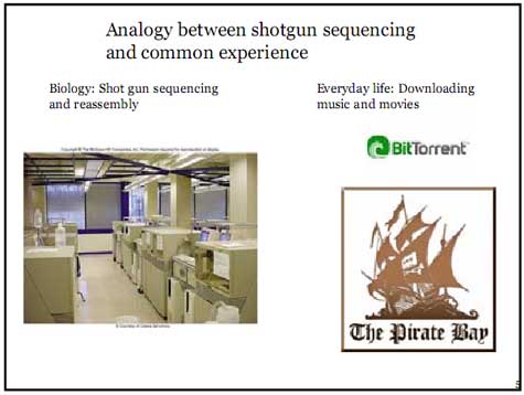 dna bittorrent