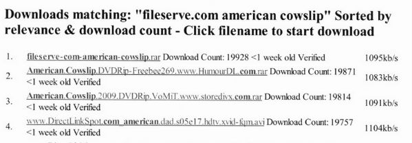 fileserve-stats
