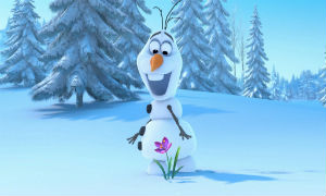 frozen