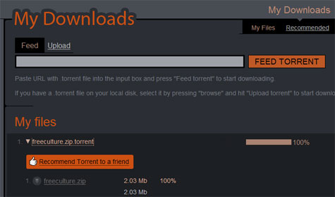 instant torrents