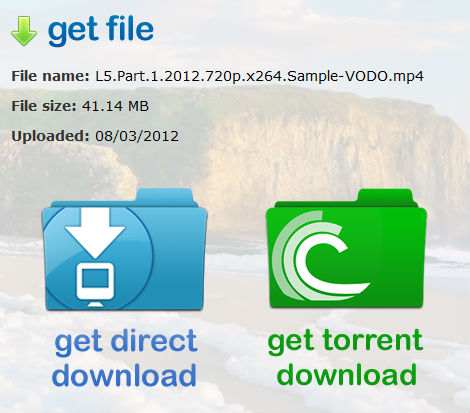 screenshot of the netkups download options, torrent or direct download