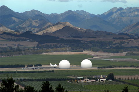 NZSPies