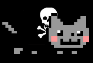 pirate-nyan