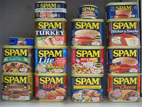 spam