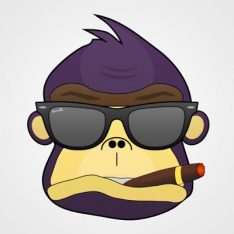spinrilla