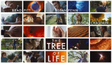 The Tree of Life