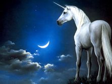 unicorn picture