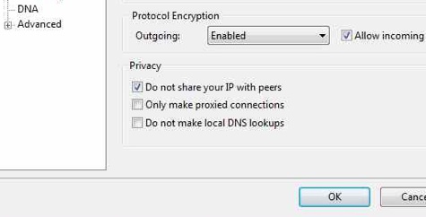 utorrent