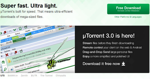 utorrent-bug