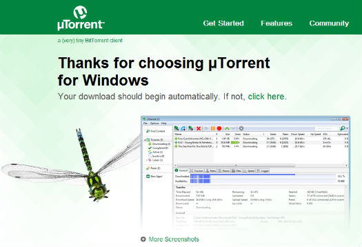 utorrent-bug2