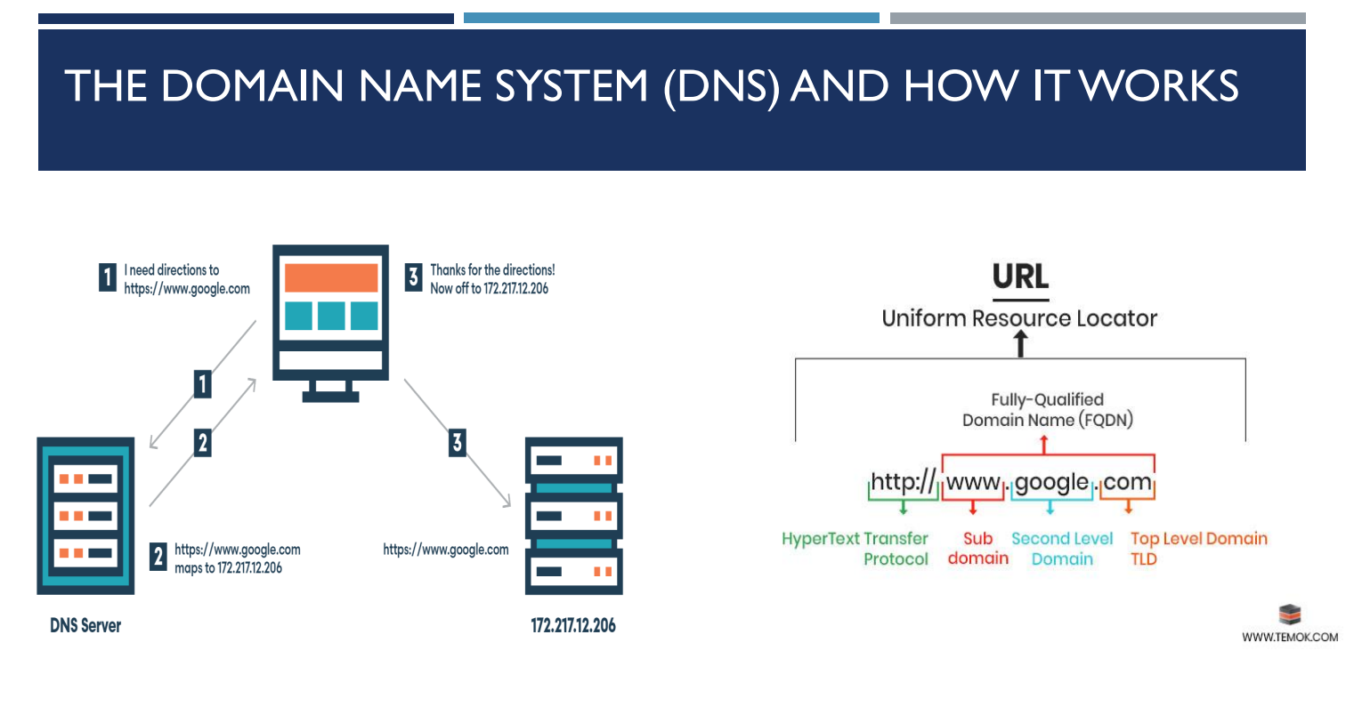 wipo - domain explainer