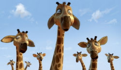 zambezia